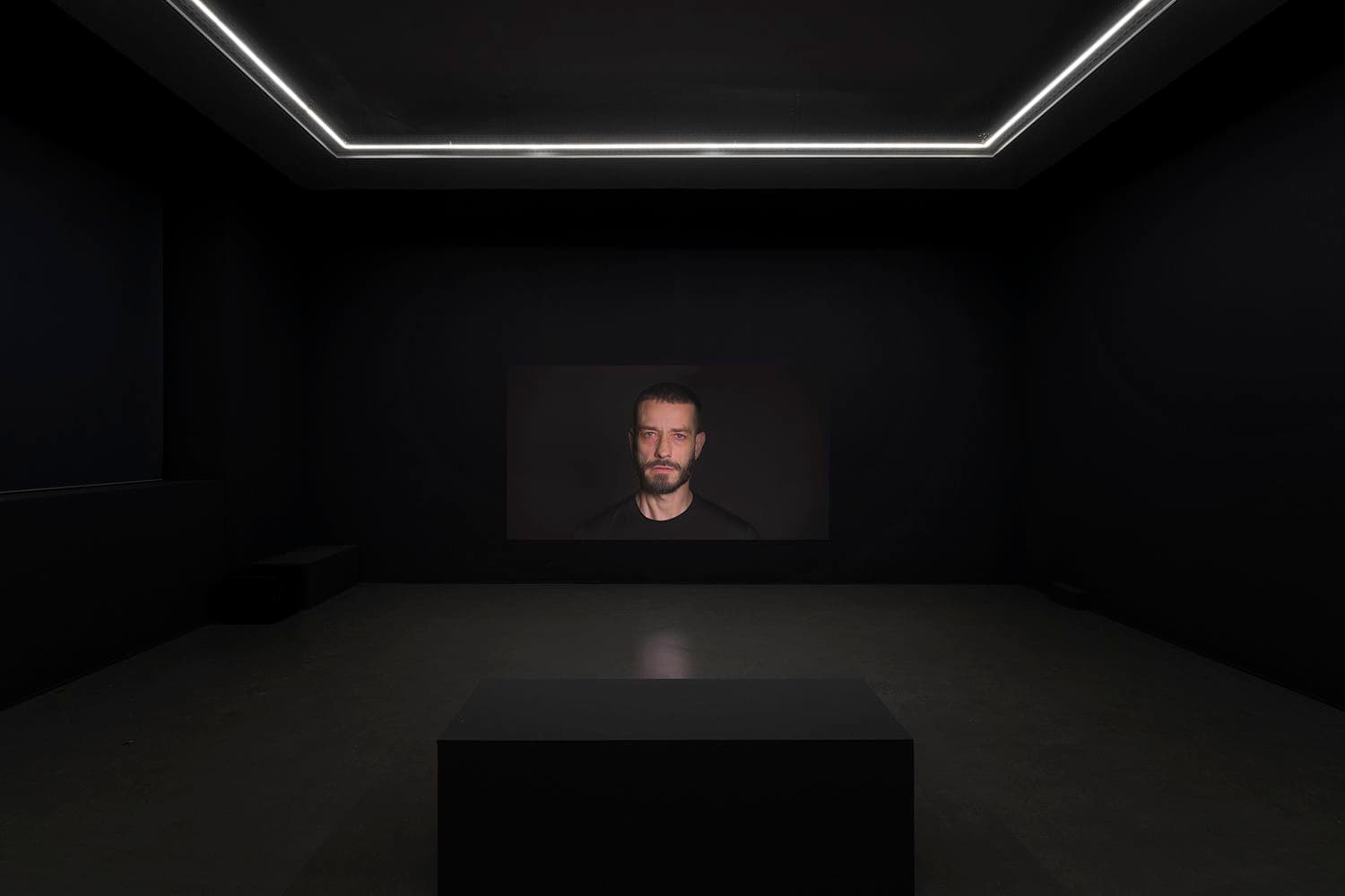 Carlos Motta — When Falling Feels Like Flying — image 5 of 7