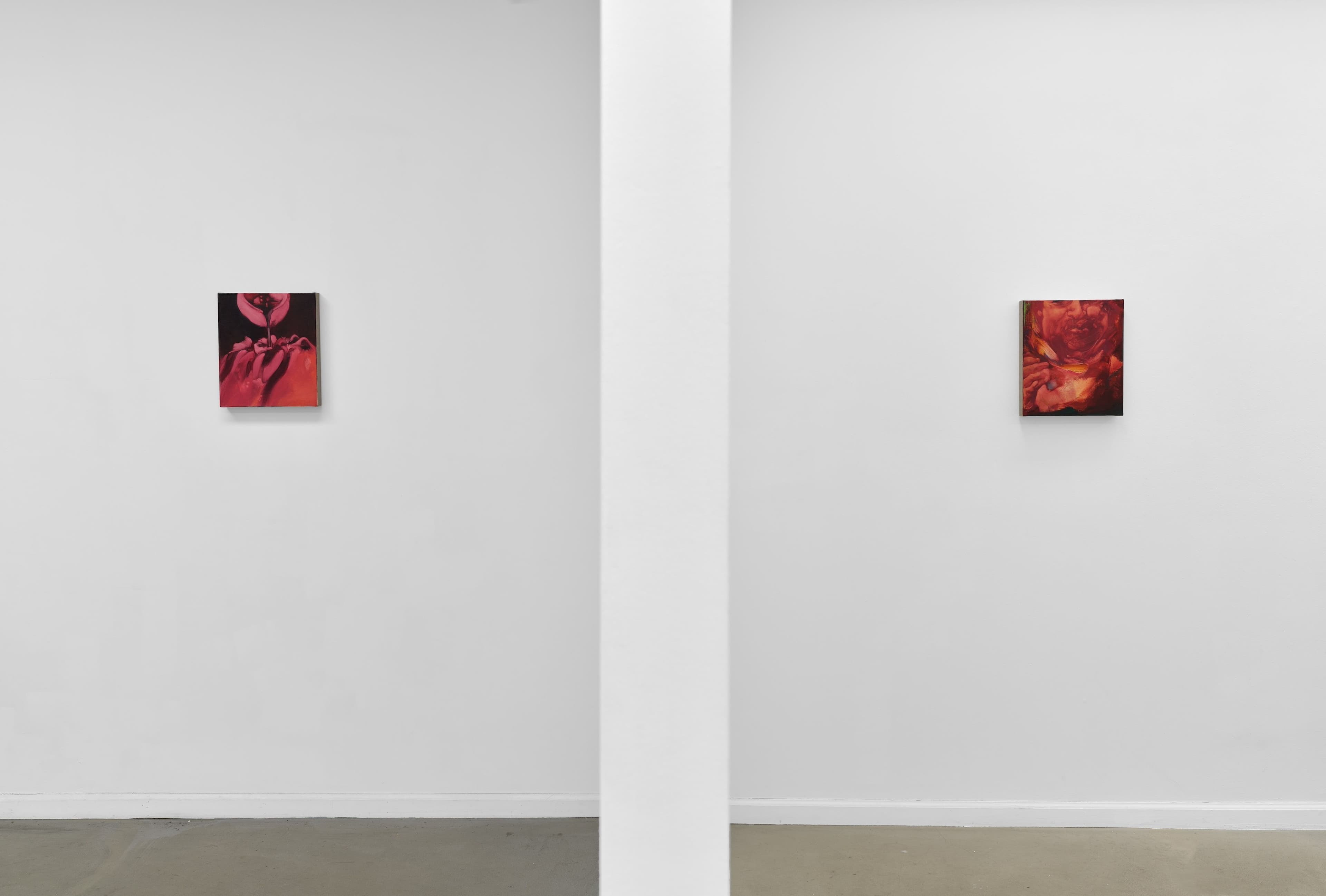 Lily Macrae — Virtues & Vices — image 4 of 8