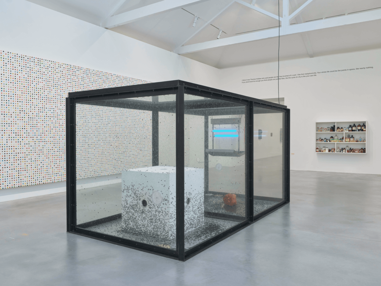 Damien Hirst — End of a Century — image 5 of 6