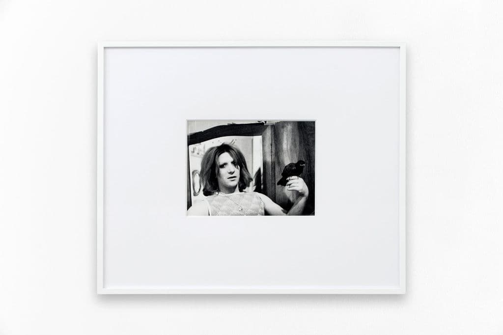 Group Exhibition — All The Beast — image 7 of 8