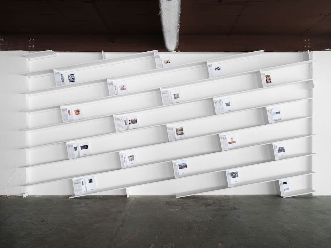 Kandis Williams — A Summary: Cassandra Press Impact Report — image 3 of 4