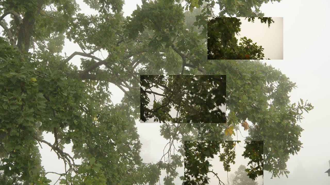 Eija-Liisa Ahtila — On Breathing