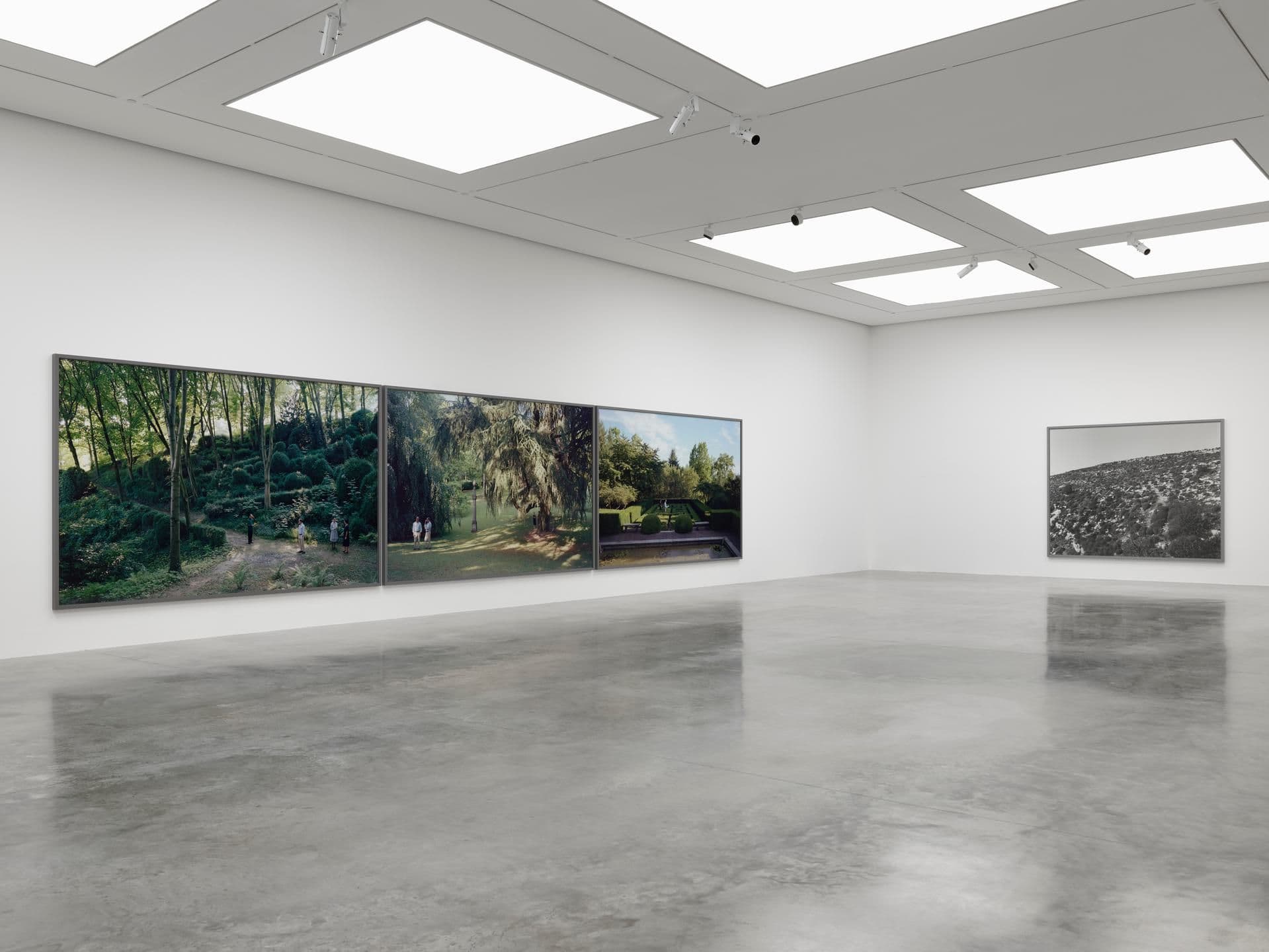 Jeff Wall — Life in Pictures — image 1 of 8