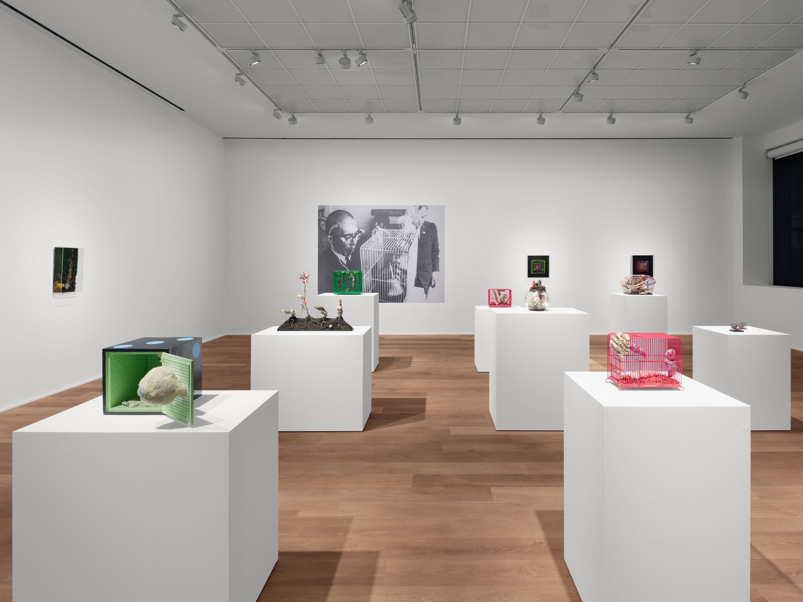 Tetsumi Kudo — Microcosms — image 3 of 6