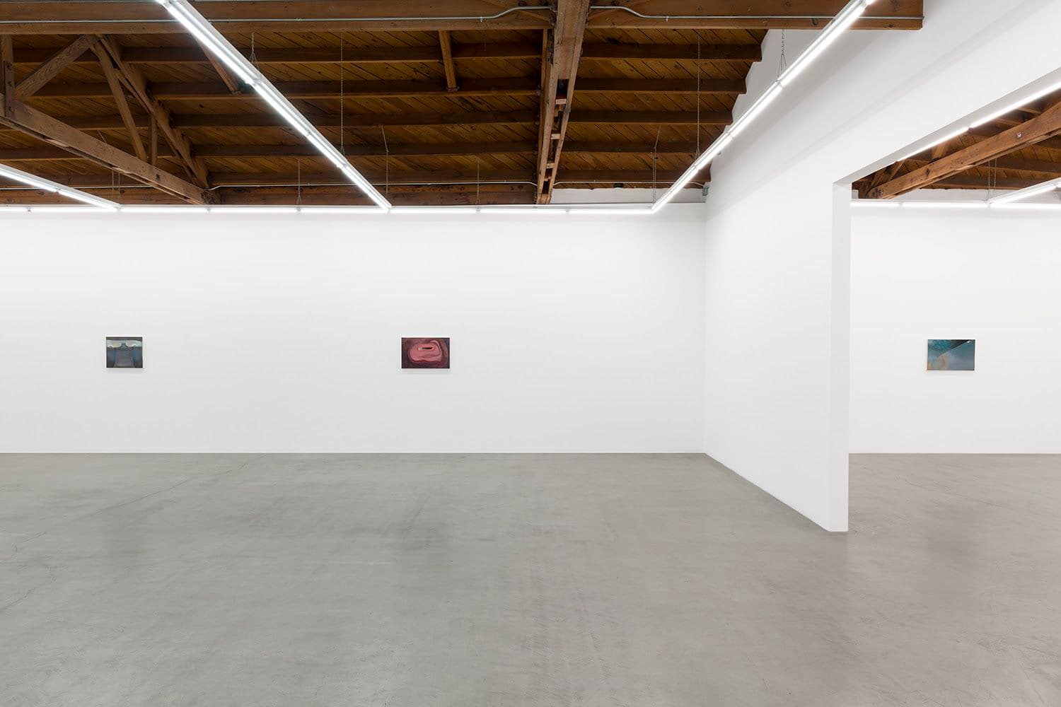 Kristy Luck — Ground for Assumptions — image 6 of 6