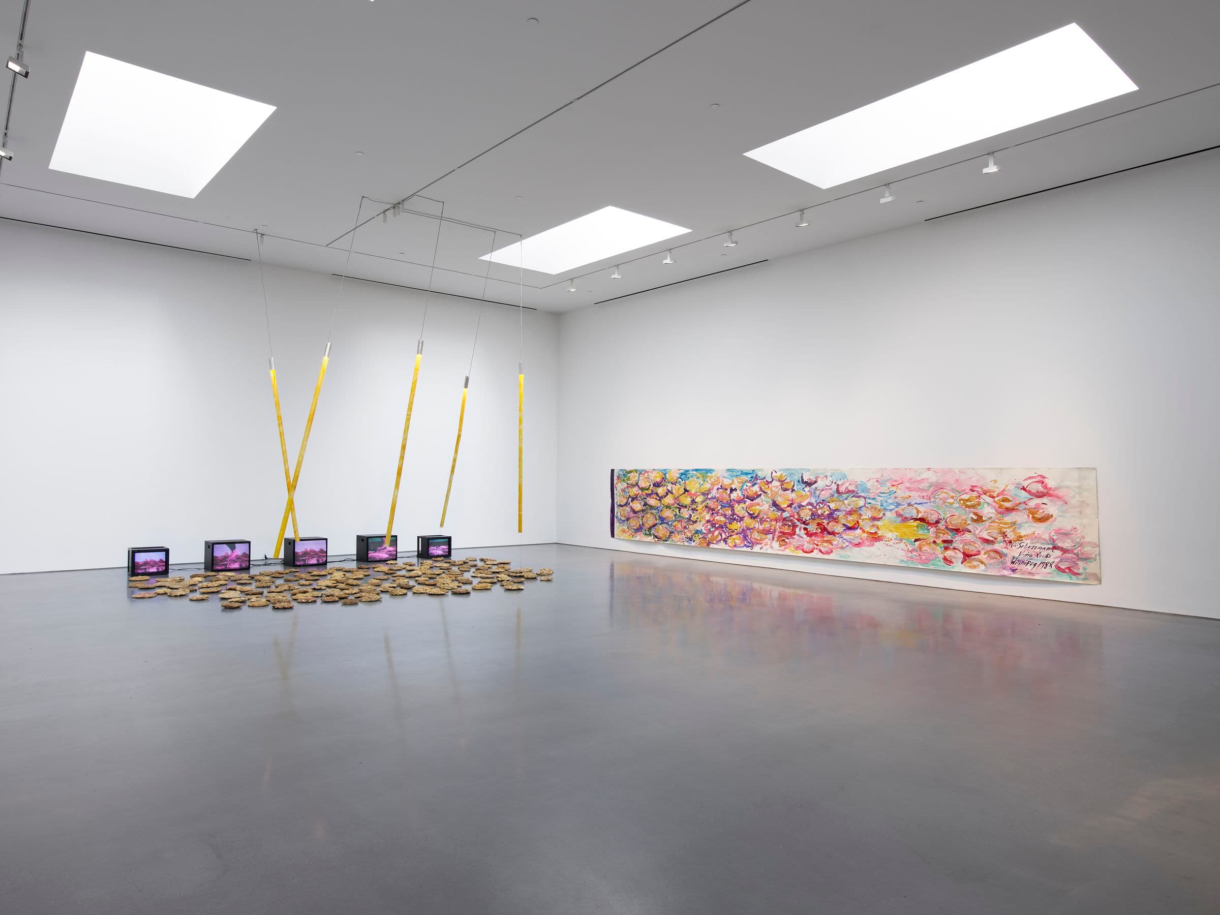 Carolee Schneemann — Carolee Schneemann — image 1 of 4