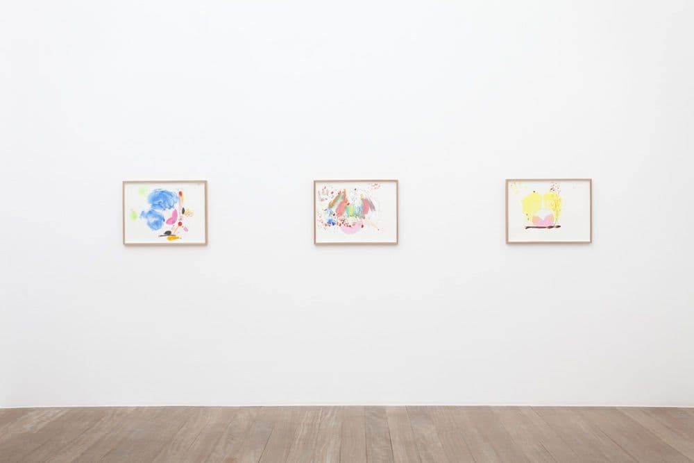 Mika Rottenberg — Mika Rottenberg — image 3 of 8