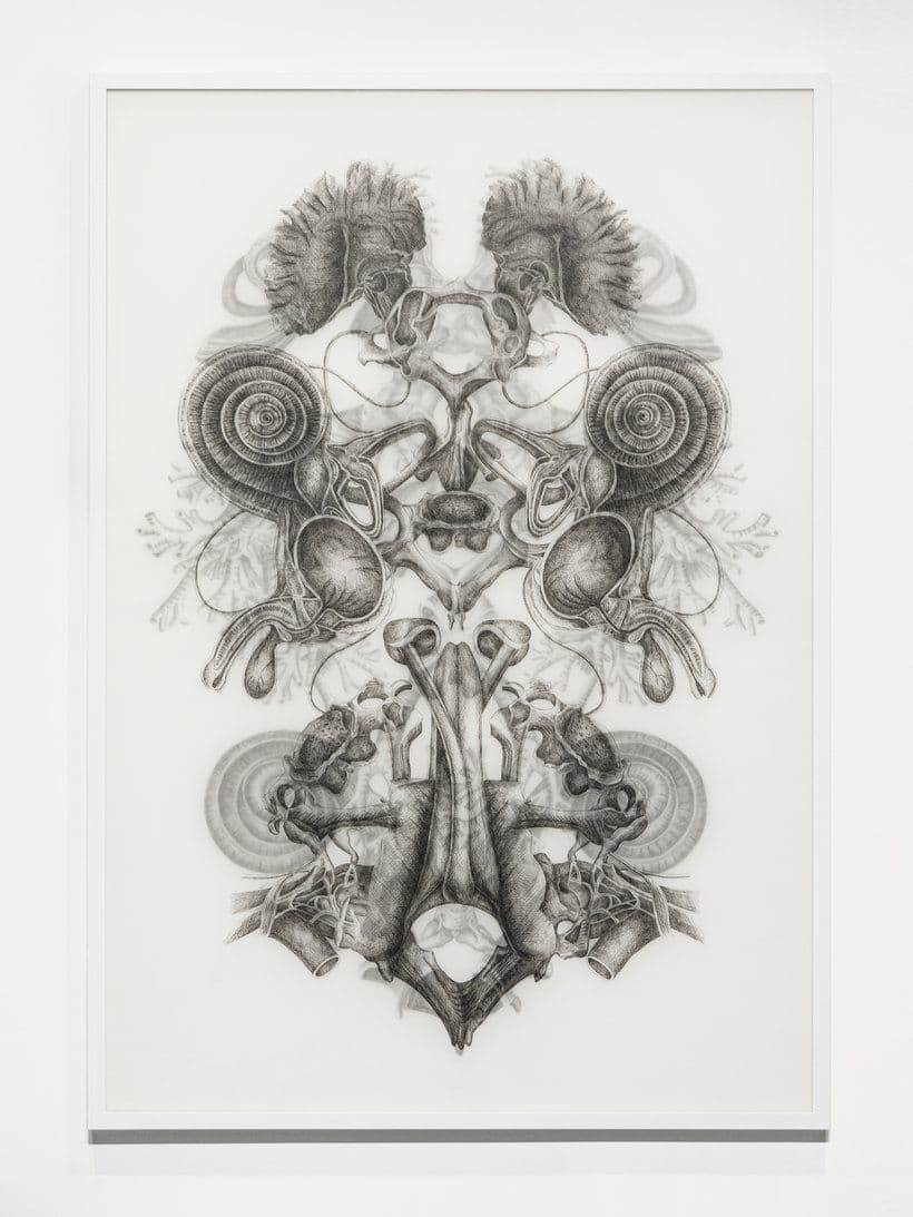 Angela Su — Arise — image 3 of 4
