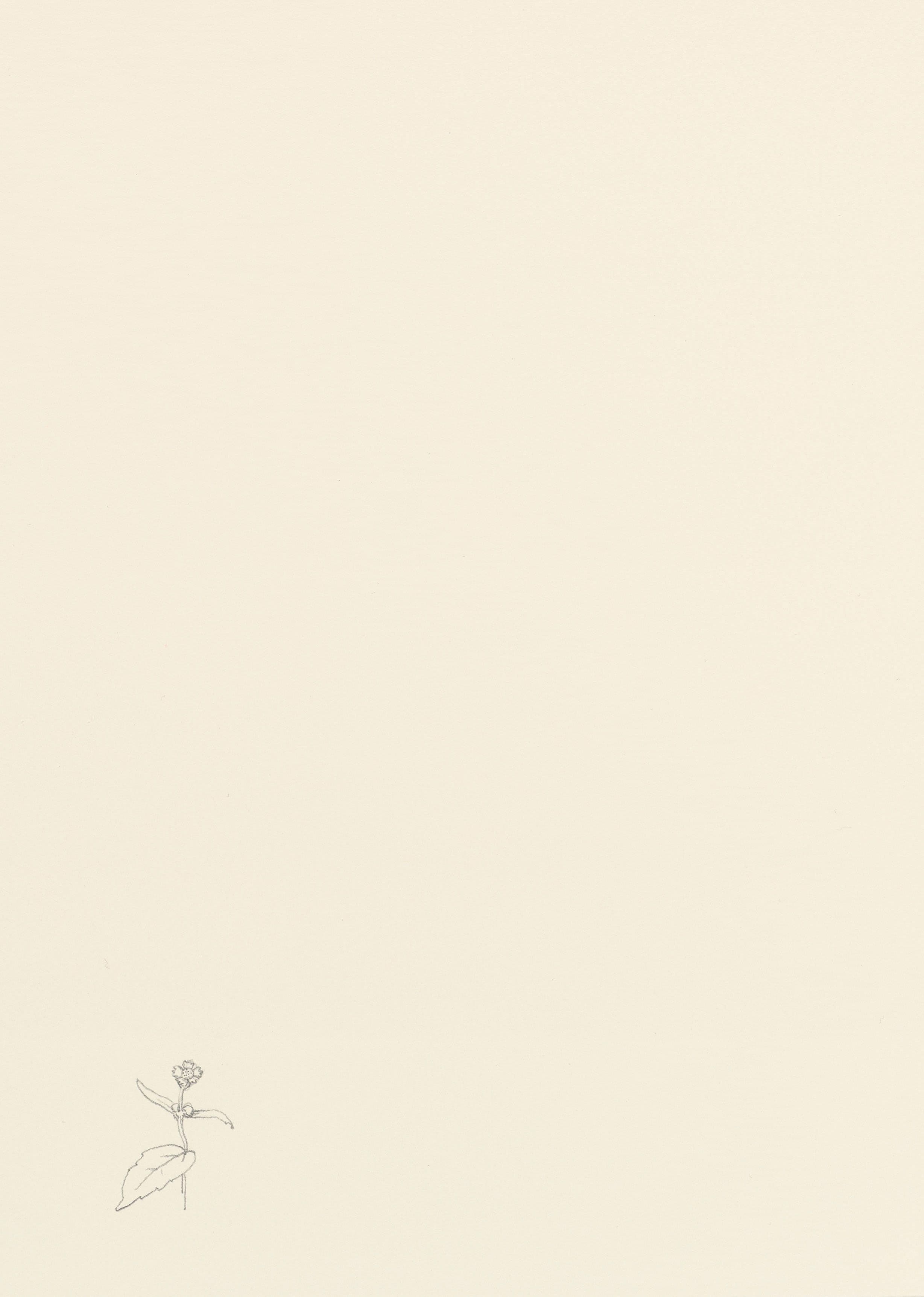 Yoshihiro Suda — Drawing