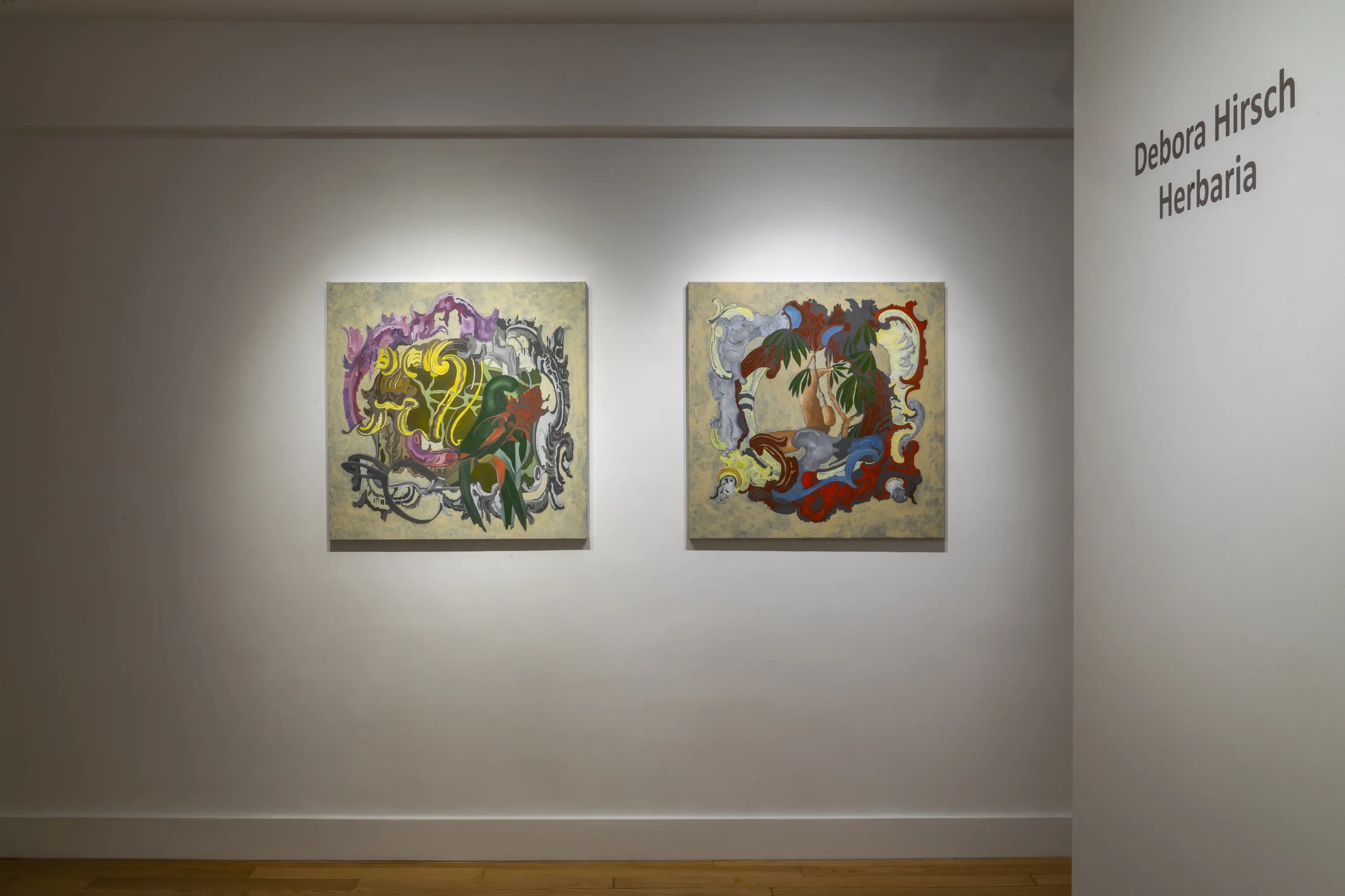 Debora Hirsch — Herbaria — image 6 of 8