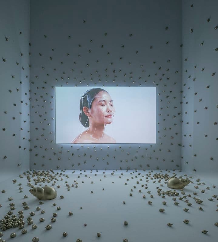 Group Exhibition — How Shall We Dress for the Occasion?