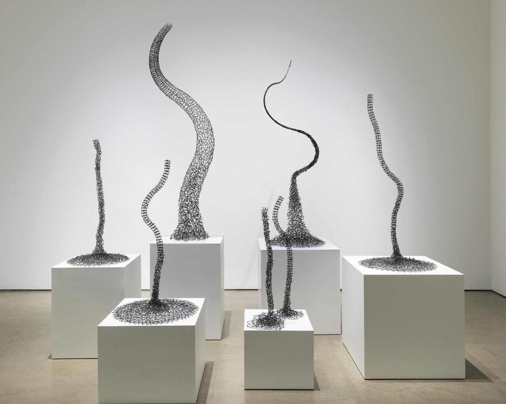 John Pai — Shared Destinies — image 5 of 8