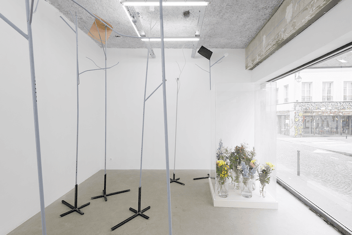 Jesse Darling — Selva Oscura — image 2 of 4