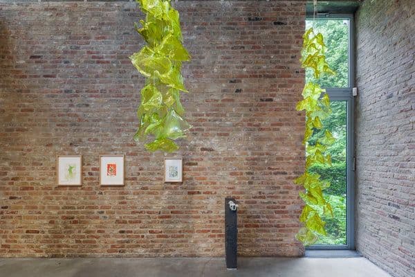 Tue Greenfort — Wunderkammer — image 2 of 5