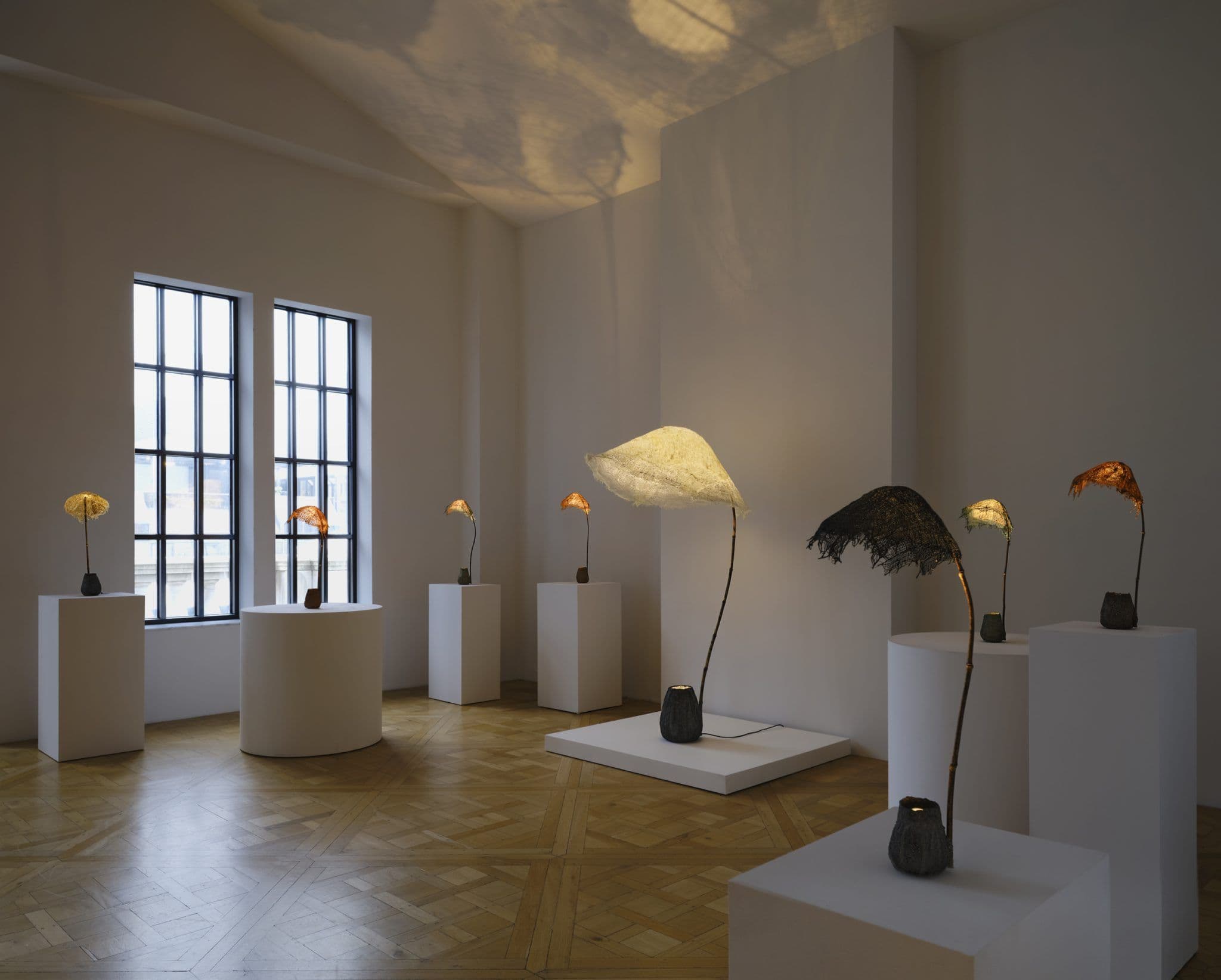 Aki & Arnaud Cooren — Under the Reef — image 2 of 3