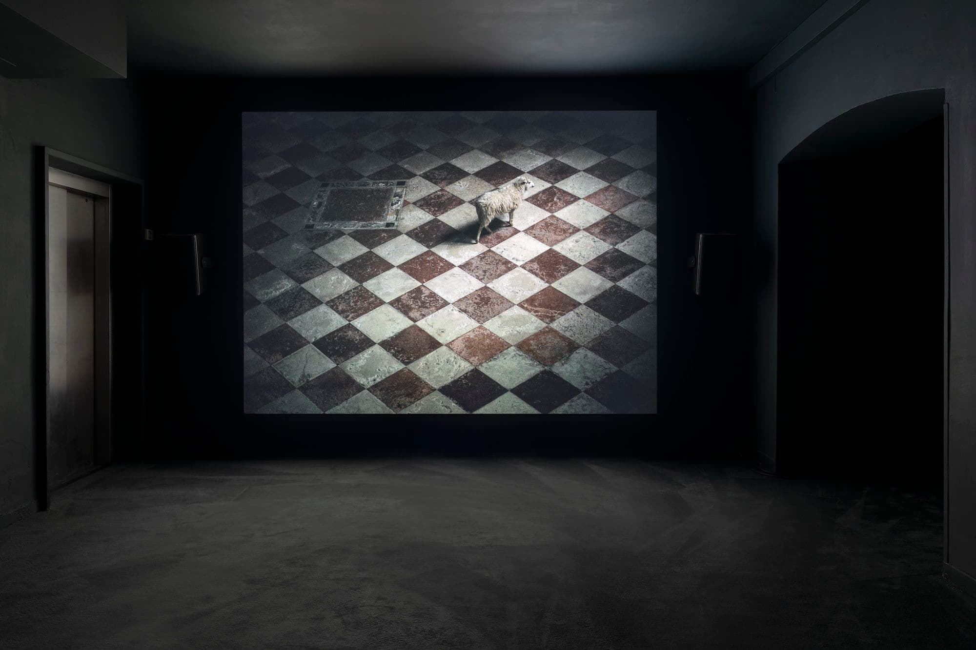 Group Exhibition — Nebula — image 6 of 8