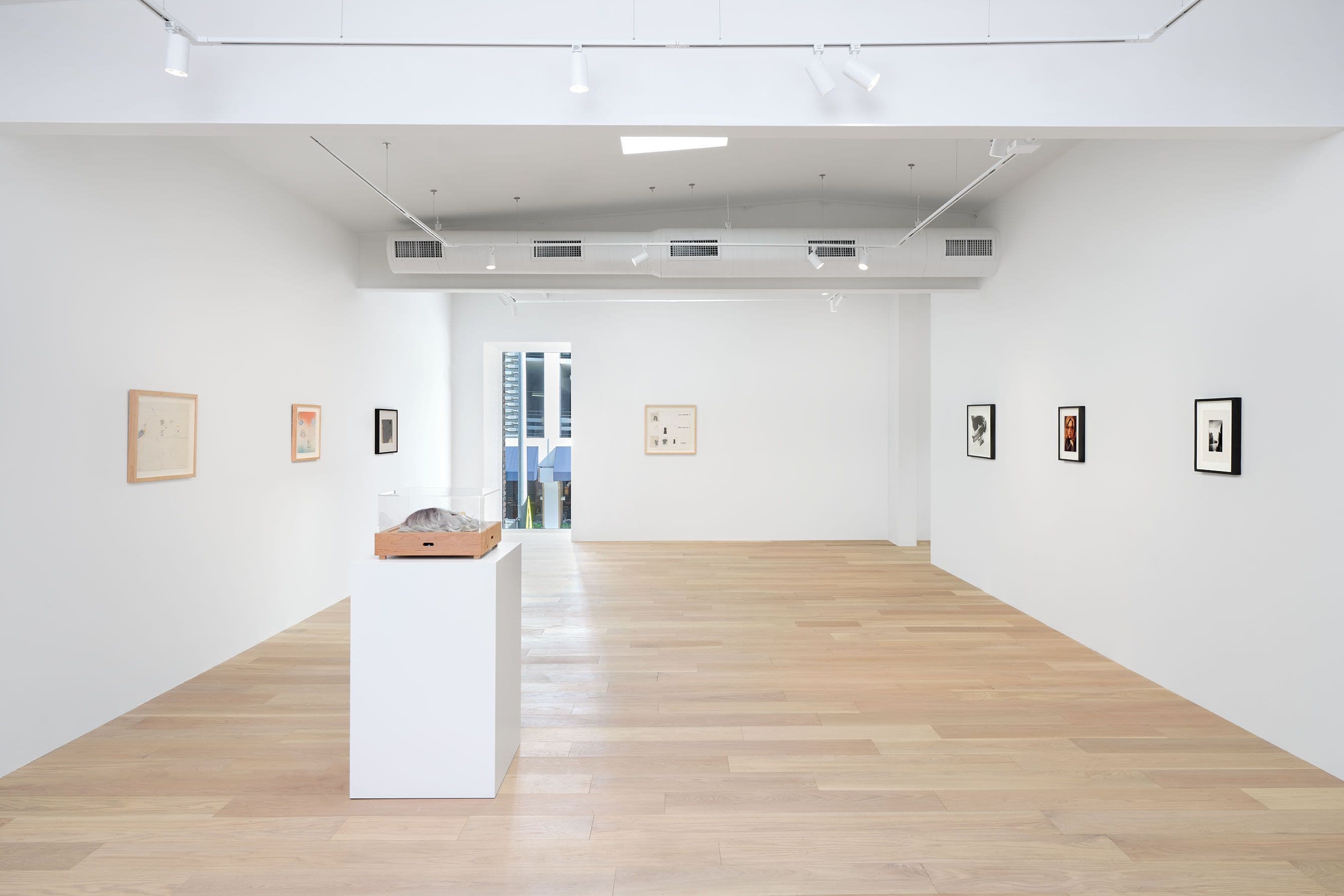 Lynn Hershman Leeson — Deep Fake — image 1 of 2