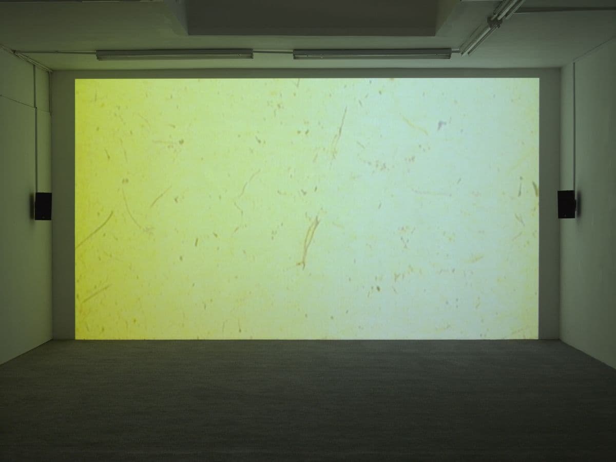 Elizabeth McAlpine — Light Reading — image 6 of 8