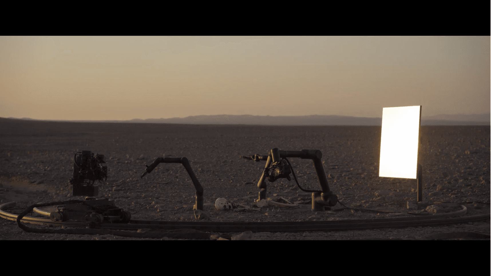 Pierre Huyghe — In Imaginal
