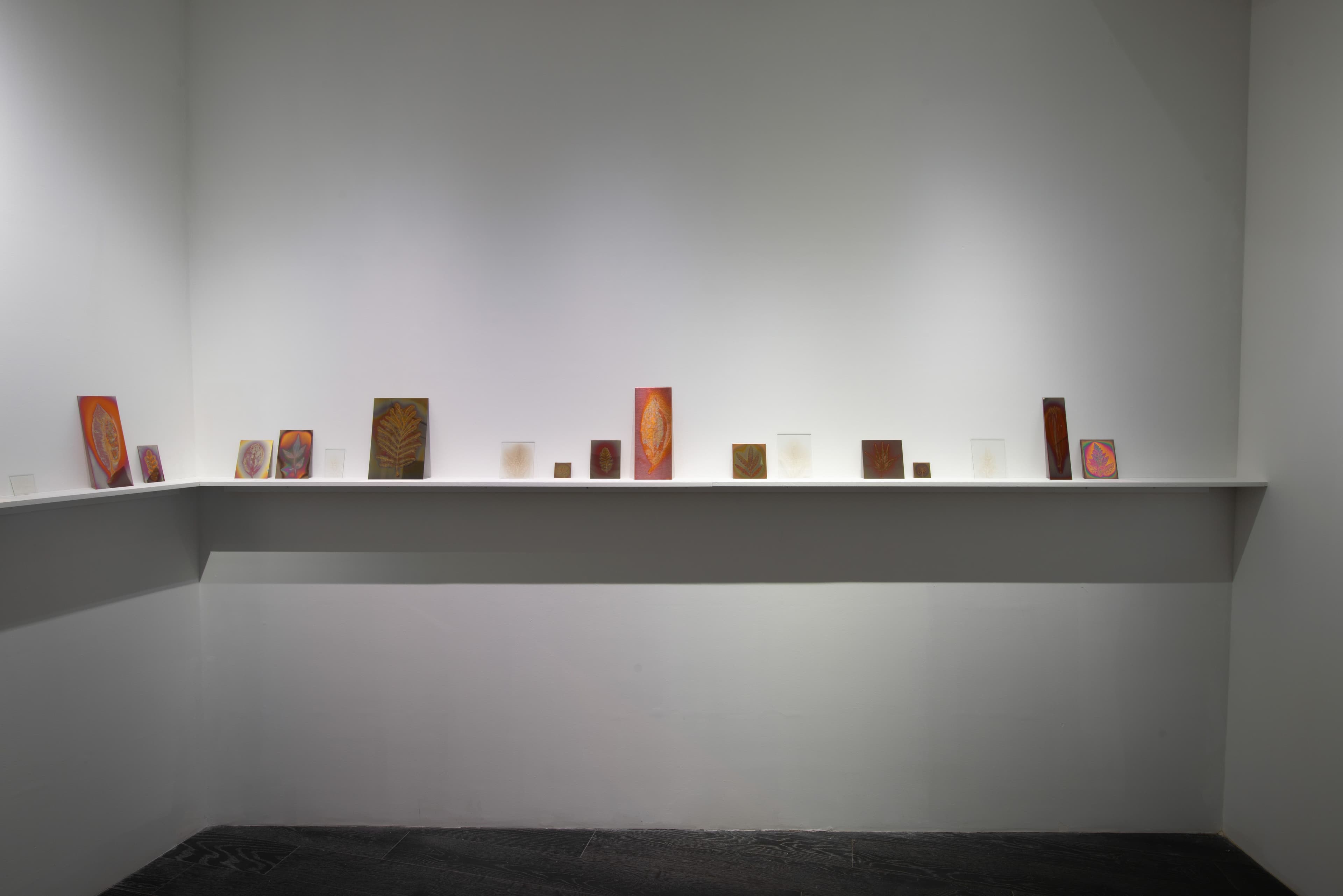 Hanako Murakami — Avant-Gardens (Part III): Sufficiently Near — image 6 of 7