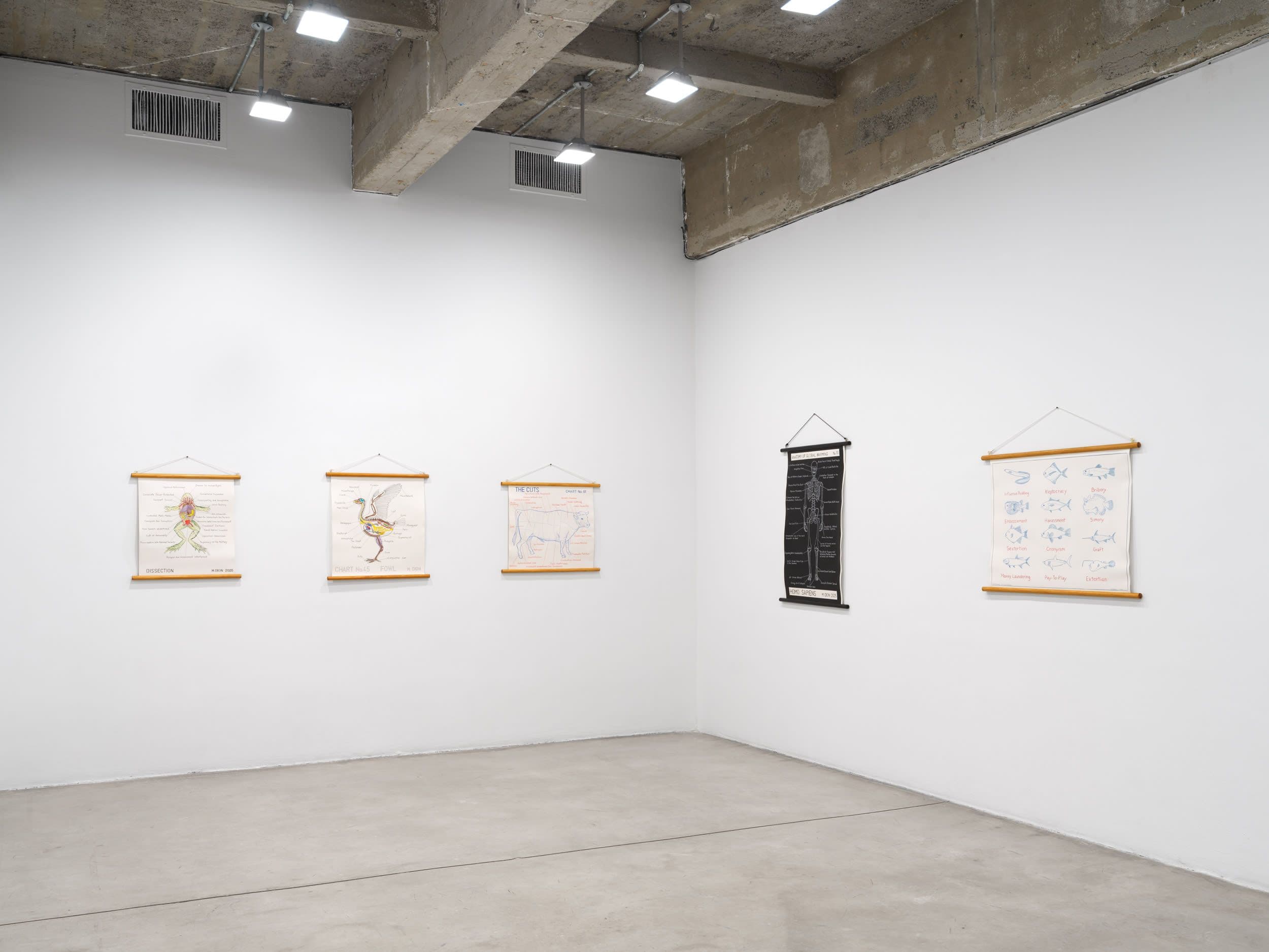 Mark Dion - Image 3