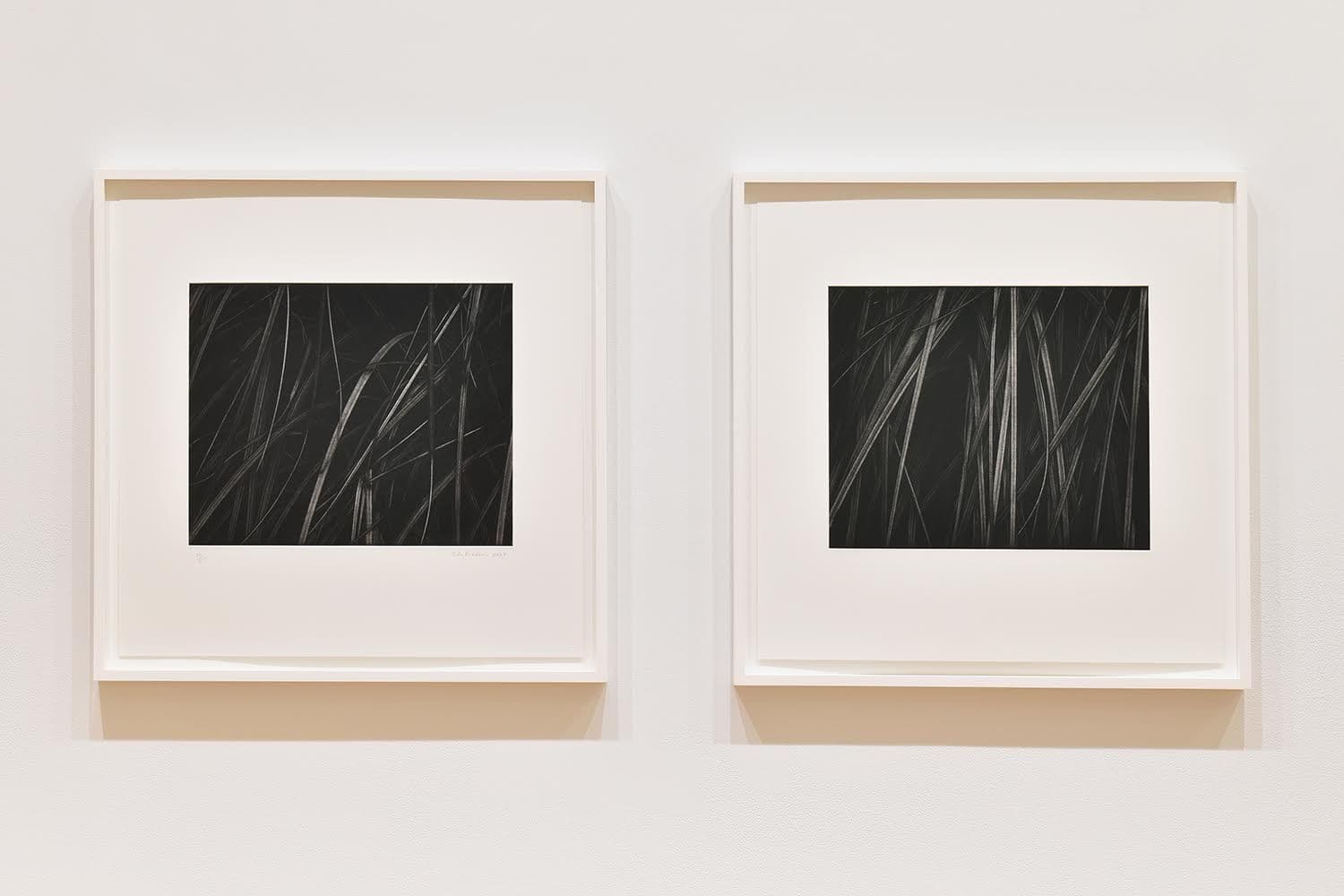 Toba Khedoori — New Editions — image 11 of 11