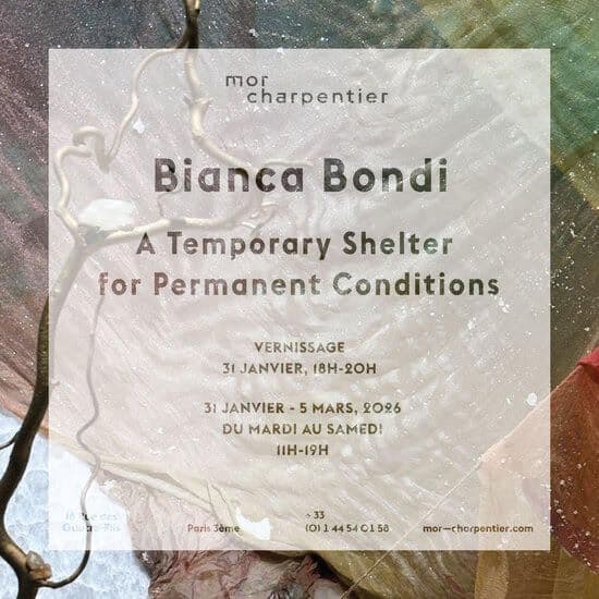 Bianca Bondi — A Temporary Shelter for Permanent Conditions