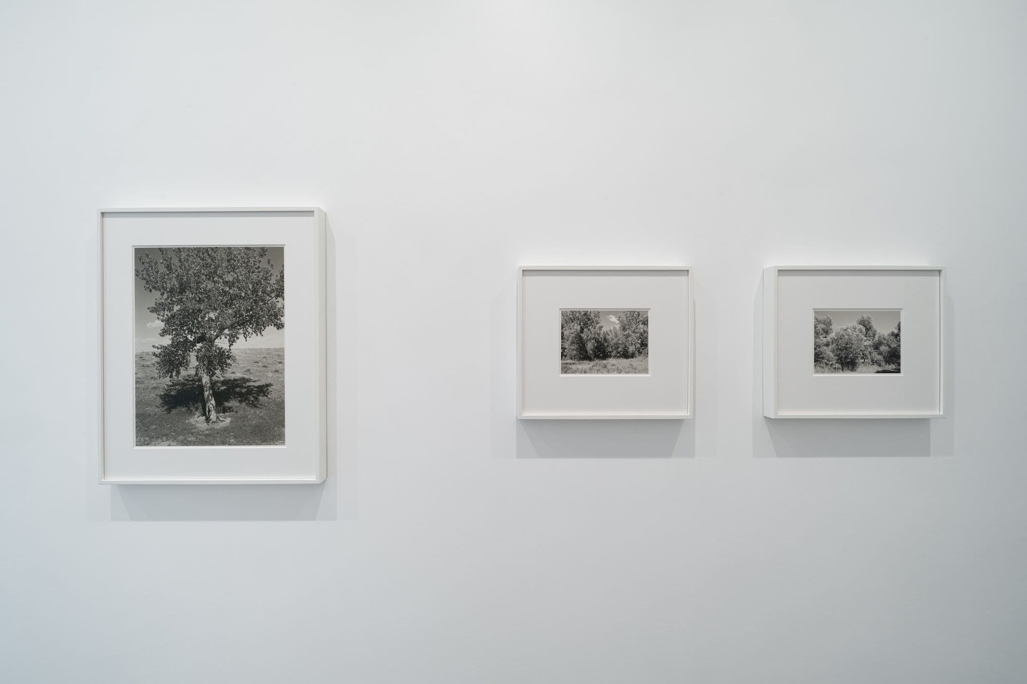 Robert Adams — Robert Adams — image 6 of 7