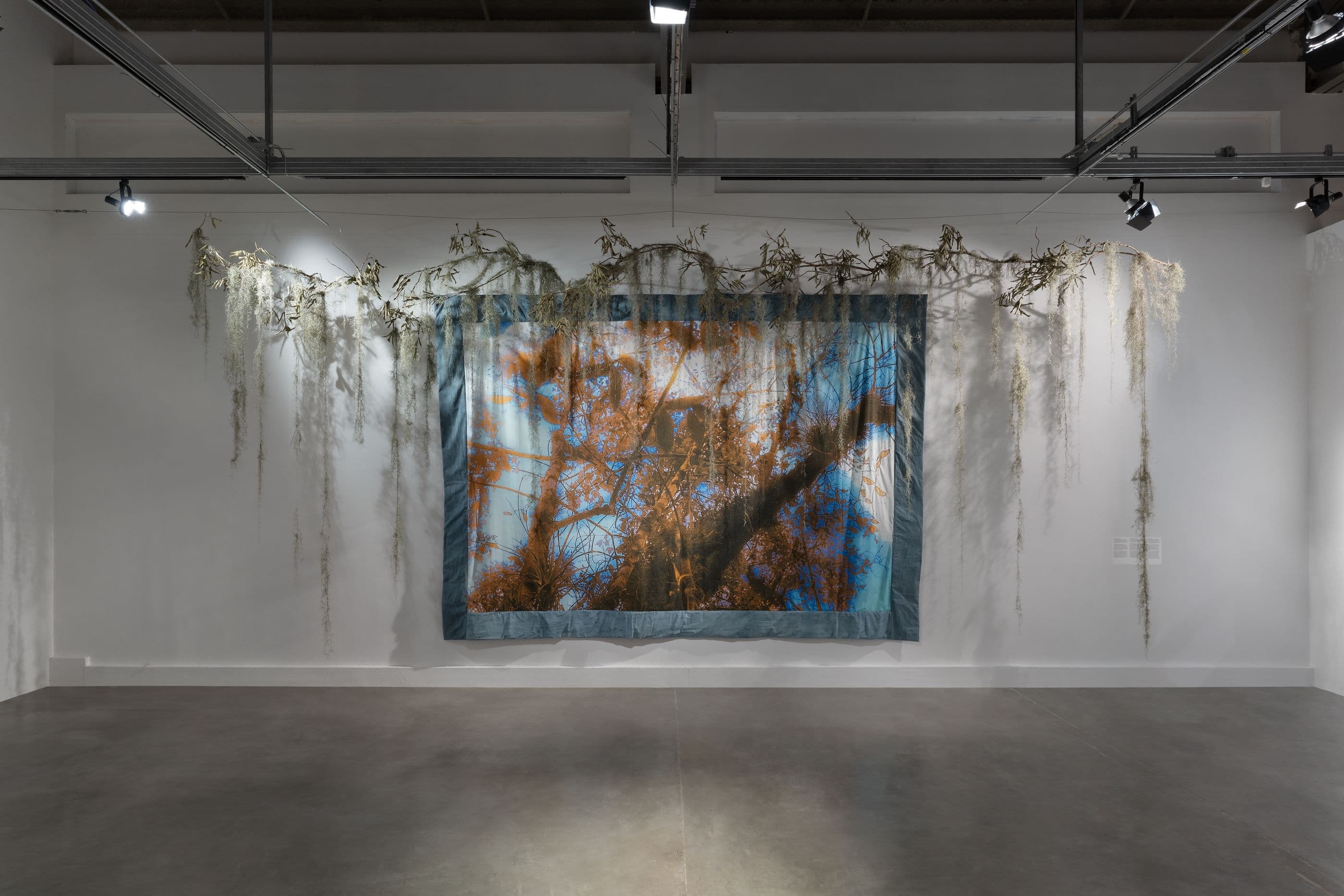 Diana Eusebio — Field of Dreams — image 5 of 8