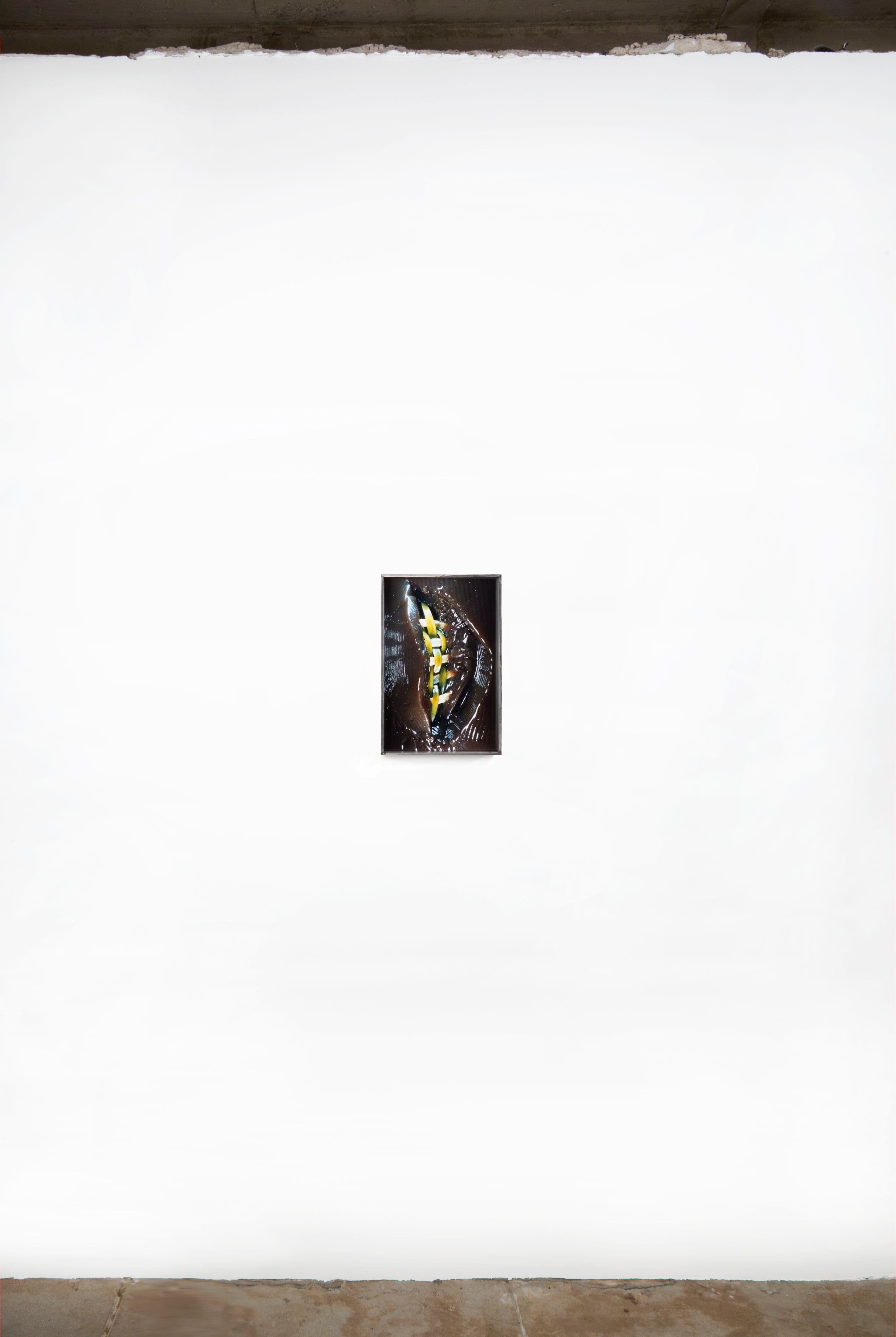Diane Severin Nguyen — Flesh Before Body — image 5 of 5