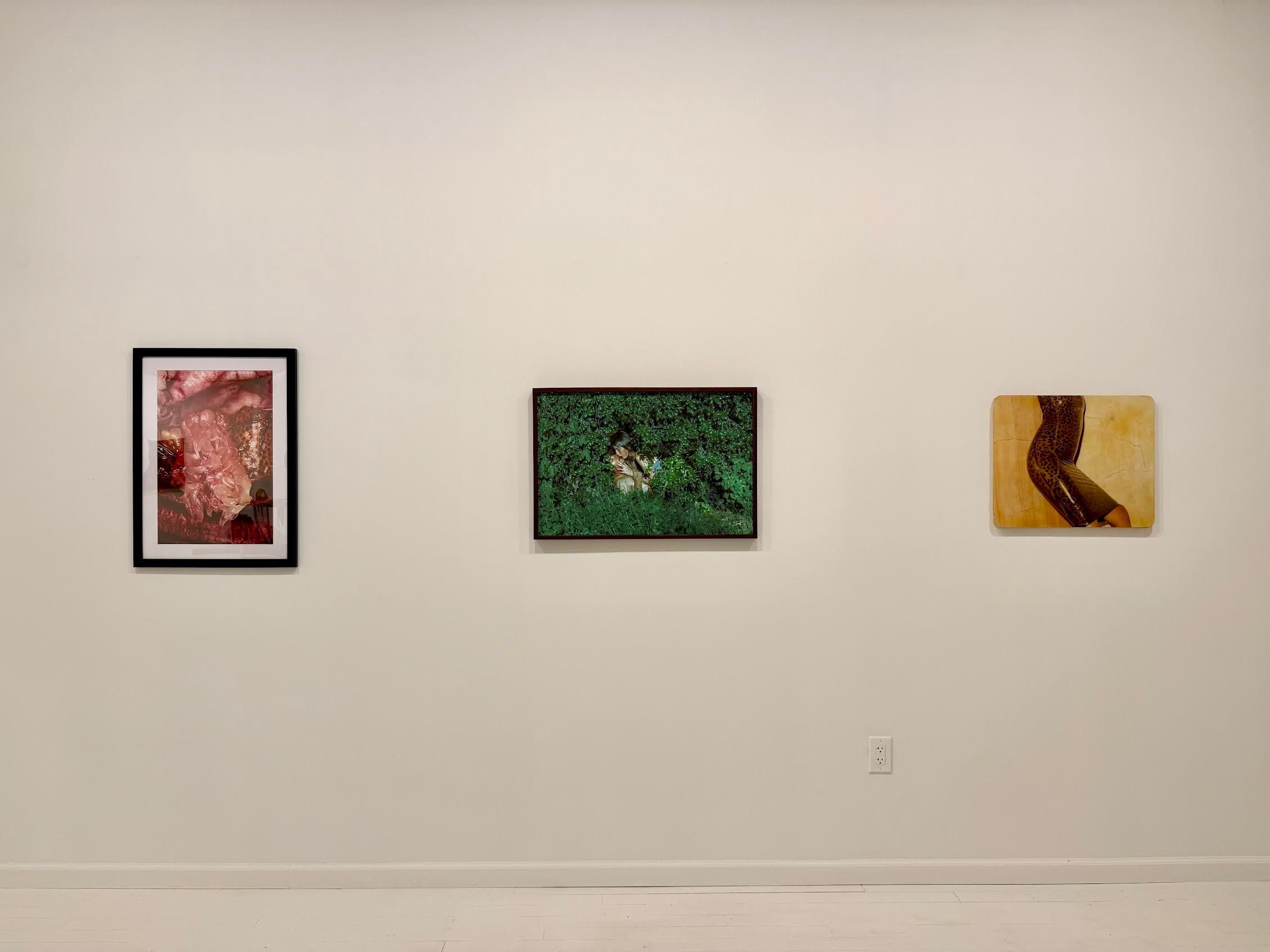 Group Exhibition — Snake Summer — image 3 of 5