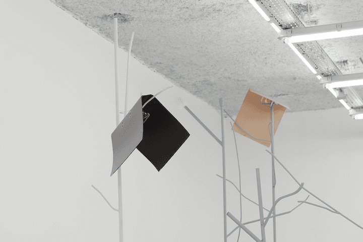 Jesse Darling — Selva Oscura — image 3 of 4
