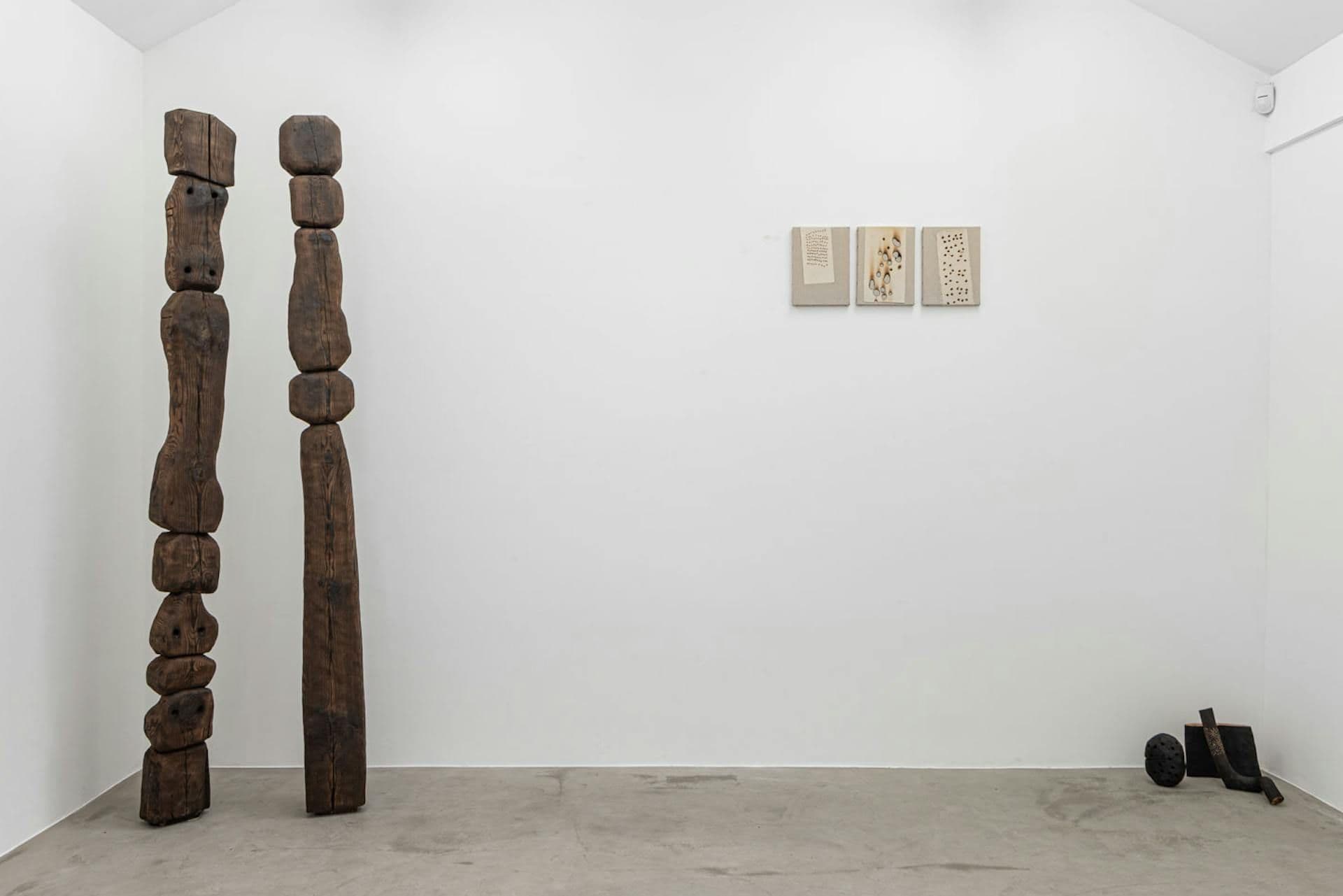 Daniel Brusatin — The Flower Is Always in the Almond — image 4 of 7
