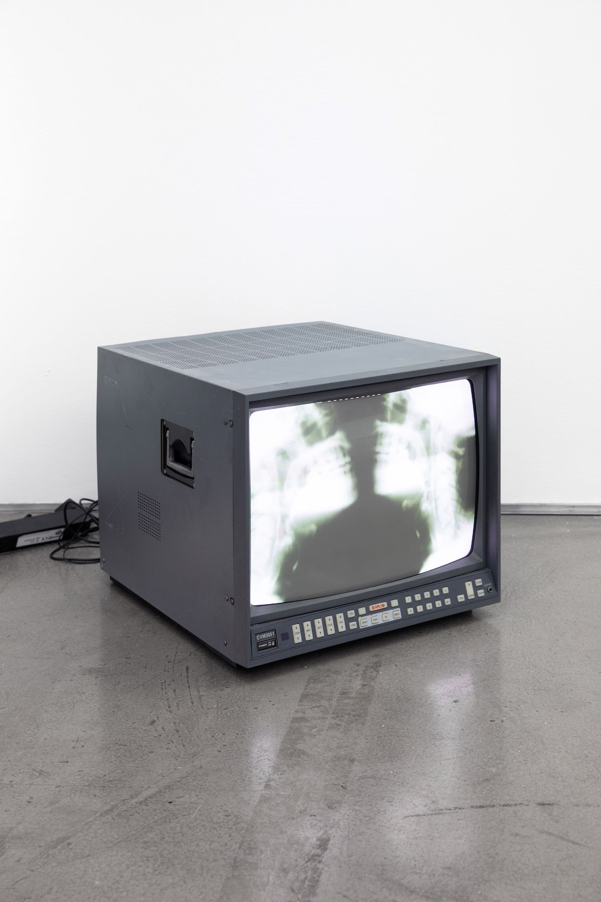 Margaux Meyer & Barbara Hammer — Strip to the Bones — image 2 of 7