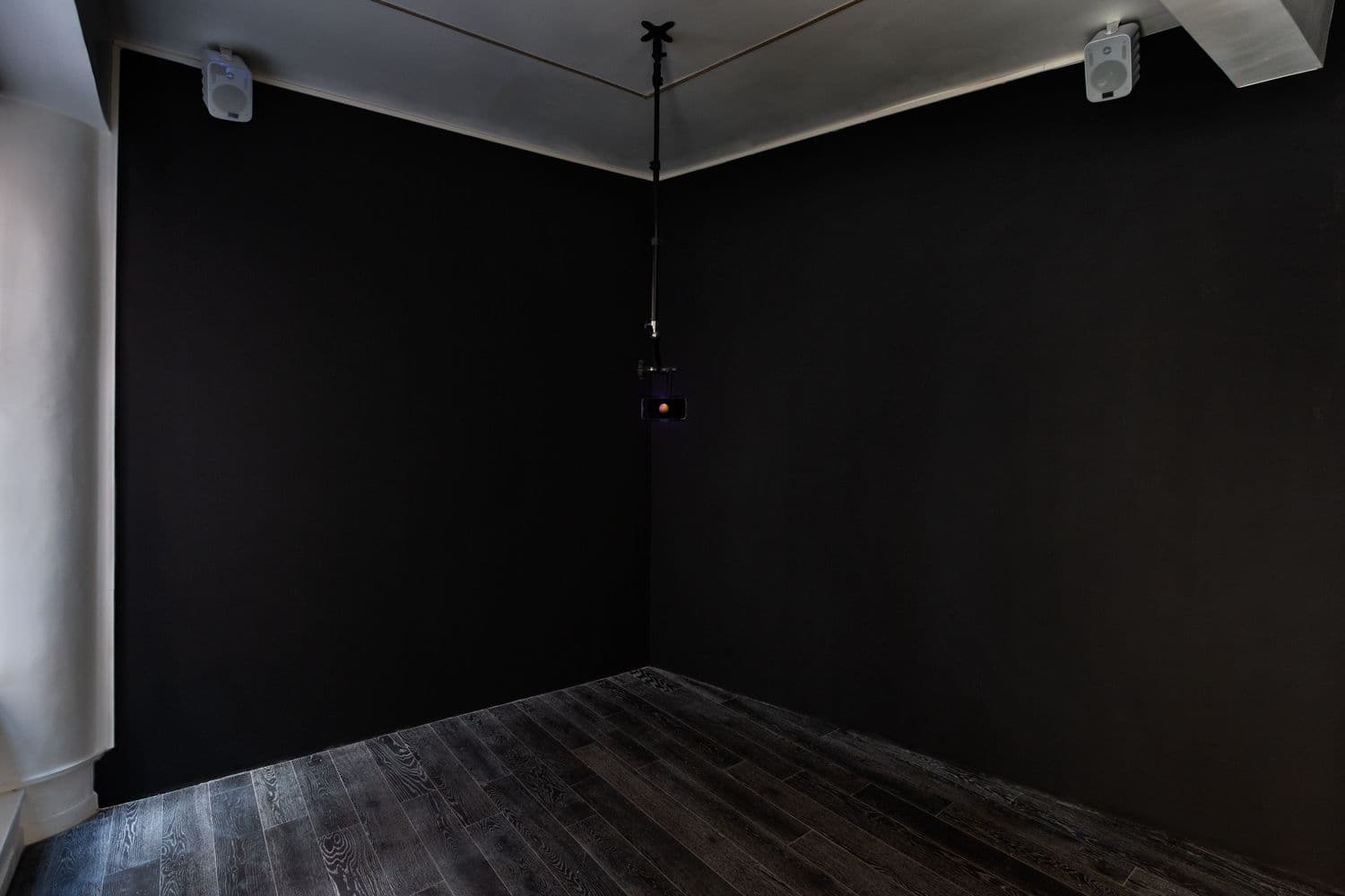 Stéphanie Solinas — Horizon