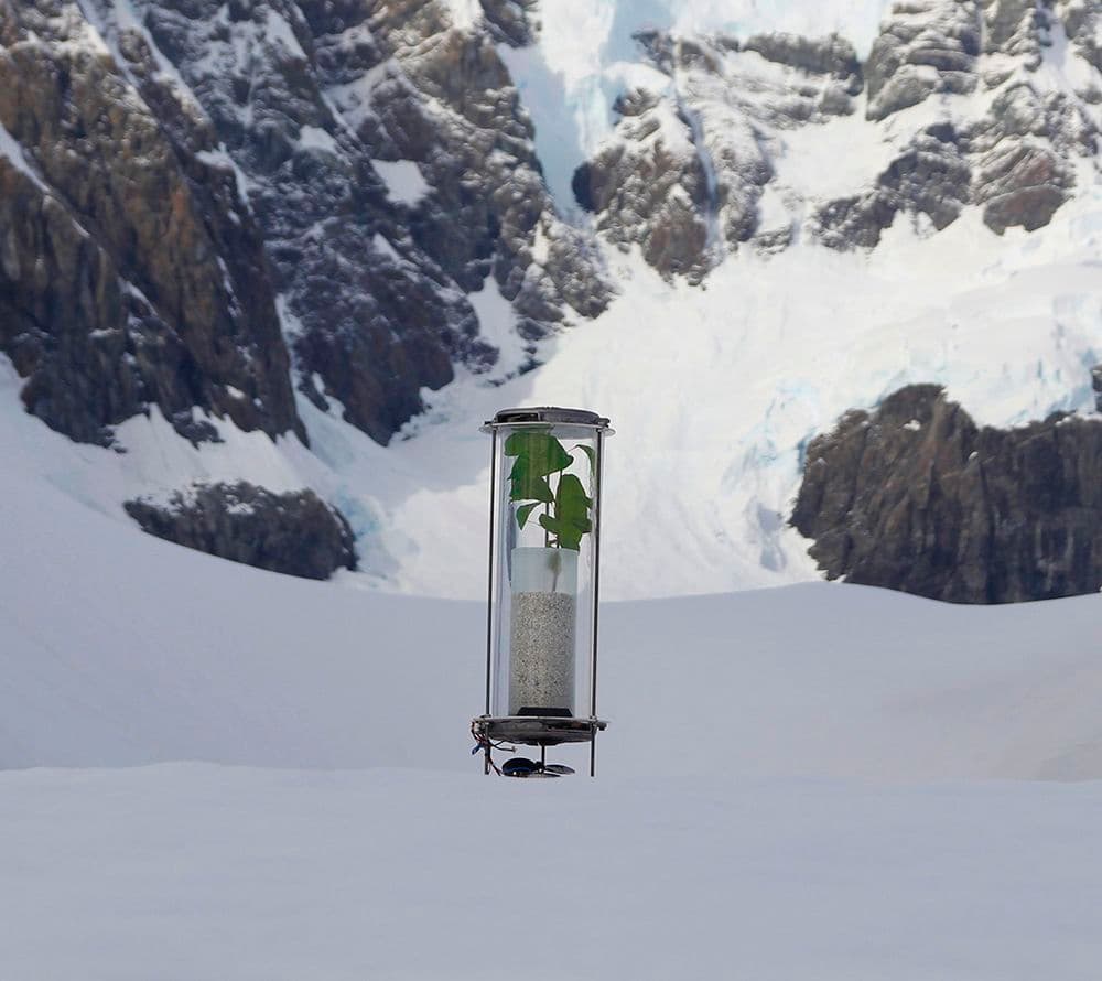 Antarctic Pavilion