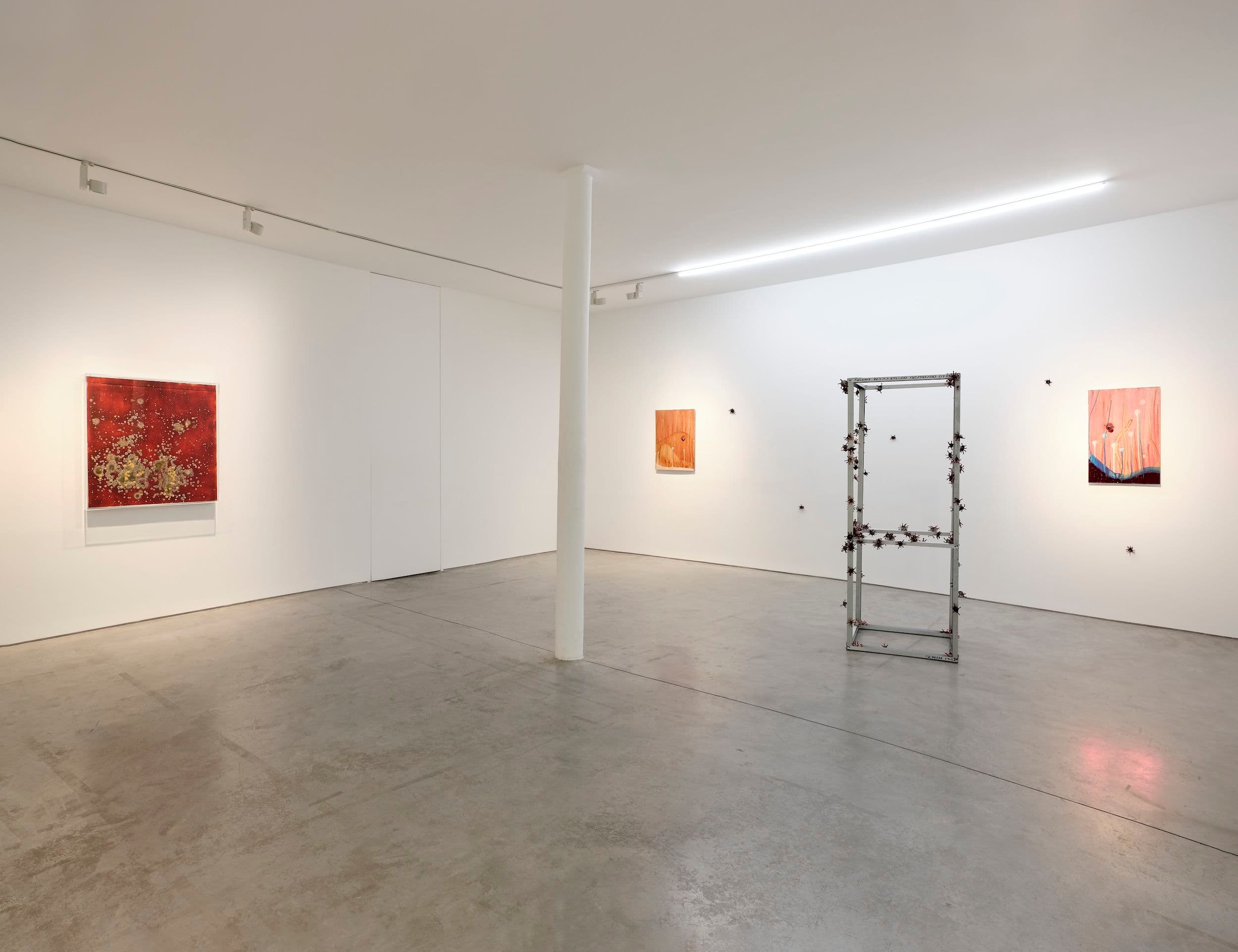 Michel Blazy — Michel Blazy — image 4 of 5