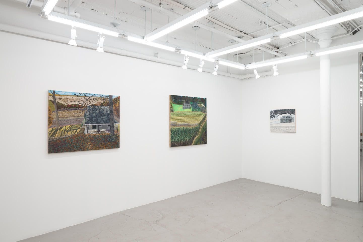 Ann Toebbe — Field and Stream of Consciousness — image 5 of 5