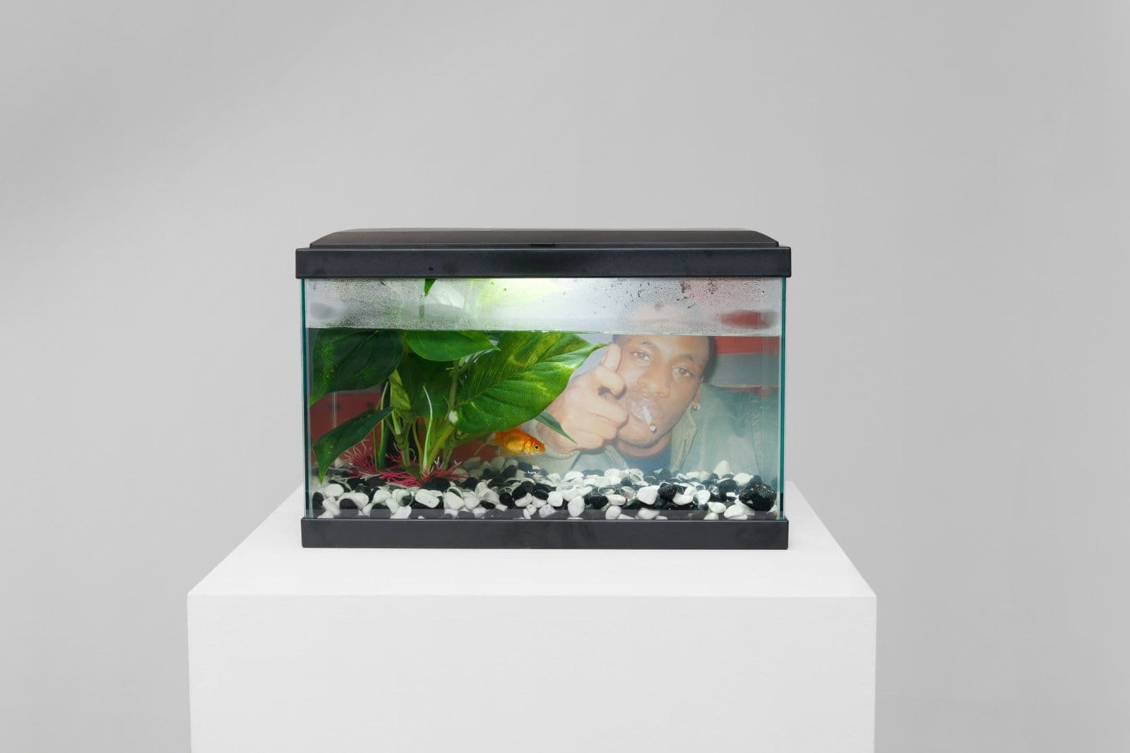 Group Exhibition — Rapture — image 9 of 9
