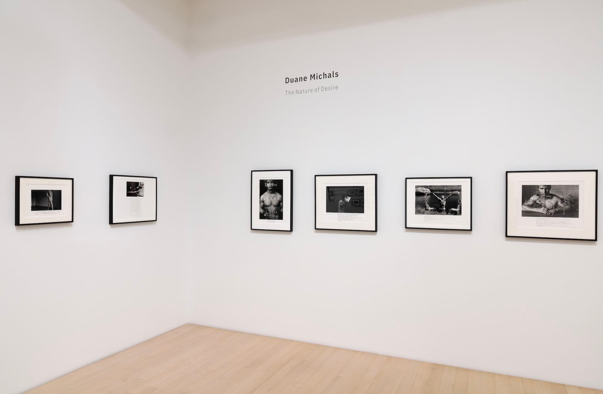 Duane Michals — The Nature of Desire — image 5 of 8