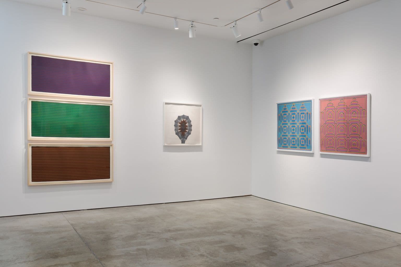 Dan Walsh — Dan Walsh — image 2 of 3