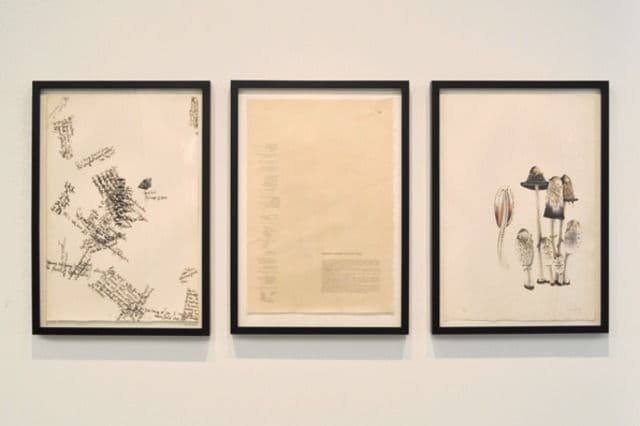 John Cage — Artist and Naturalist — image 4 of 8