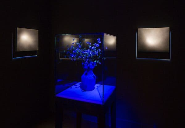 James Case-Leal — First Light — image 2 of 3
