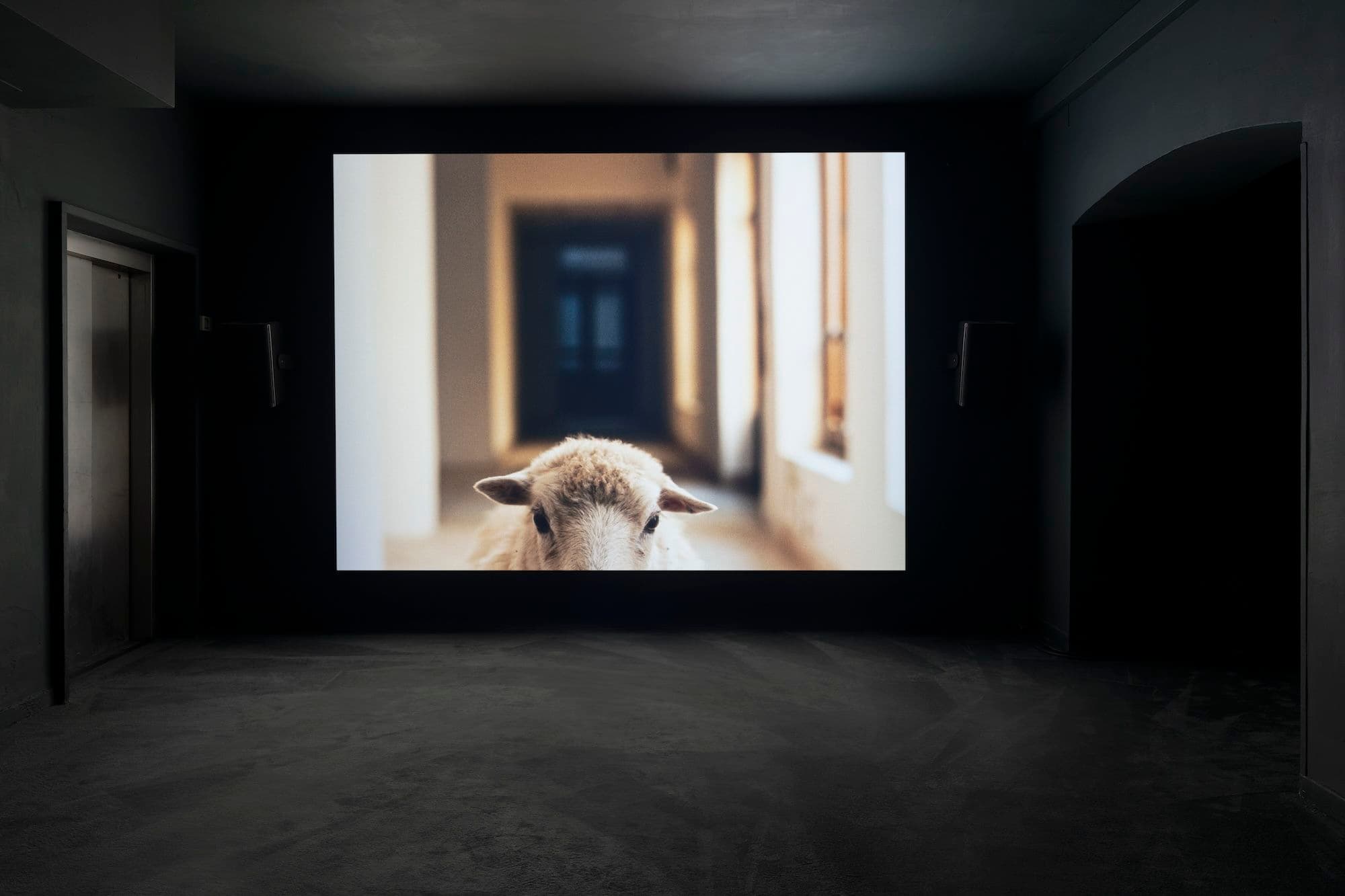 Group Exhibition — Nebula — image 8 of 8