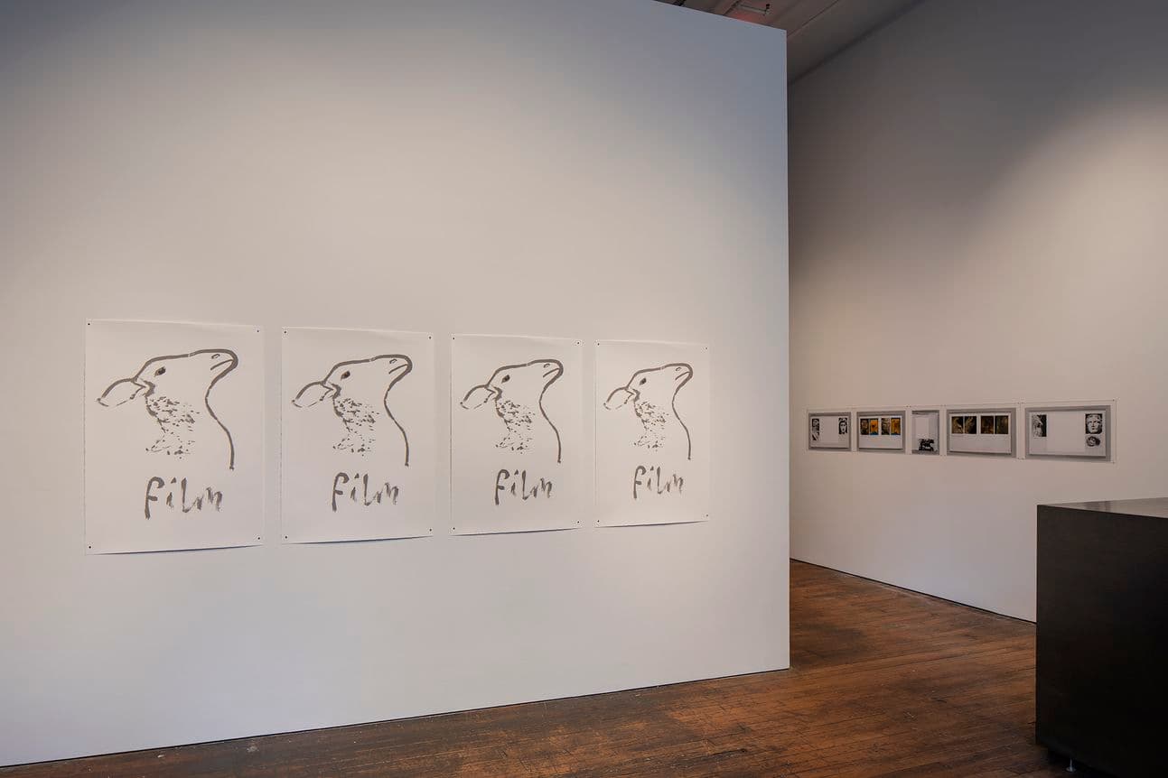 Rosalind Nashashibi & Lucy Skaer — Pygmalion Margaret Ursus Uan — image 9 of 10