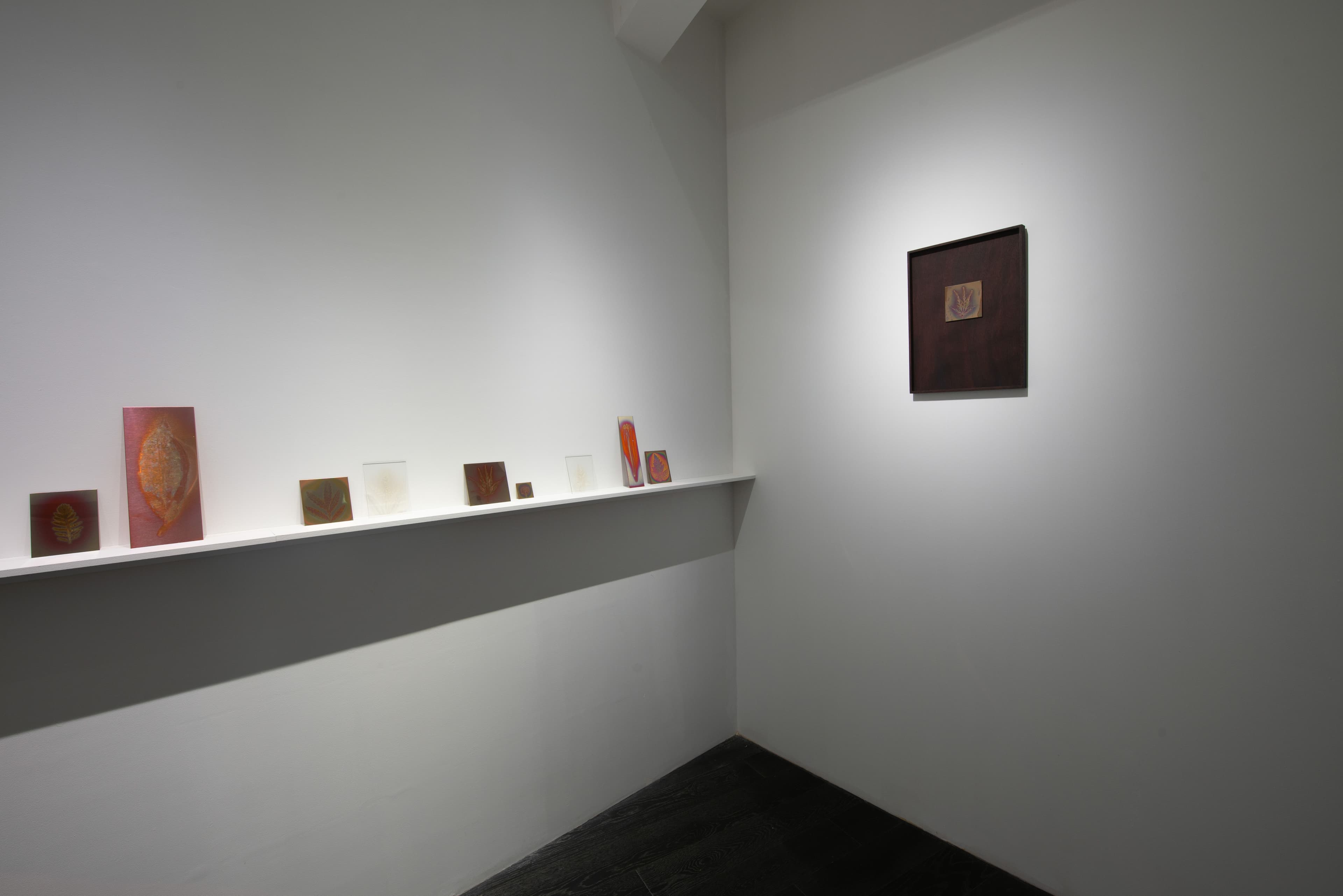 Hanako Murakami — Avant-Gardens (Part III): Sufficiently Near — image 7 of 7