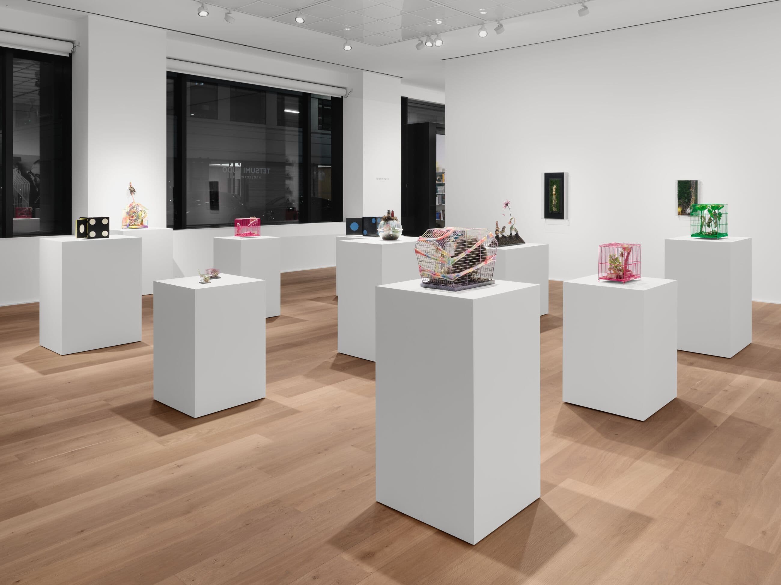 Tetsumi Kudo — Microcosms — image 6 of 6