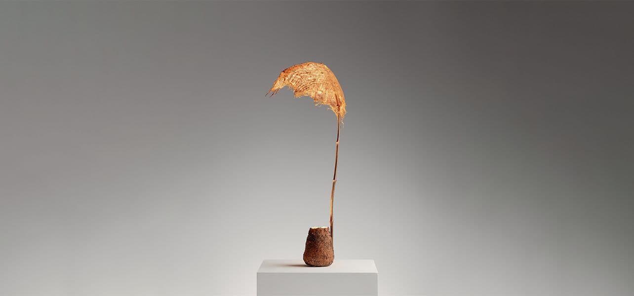 Aki & Arnaud Cooren — Under the Reef — image 3 of 3