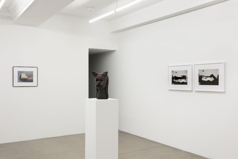 Aneta Grzeszykowska — No/Body — image 2 of 2