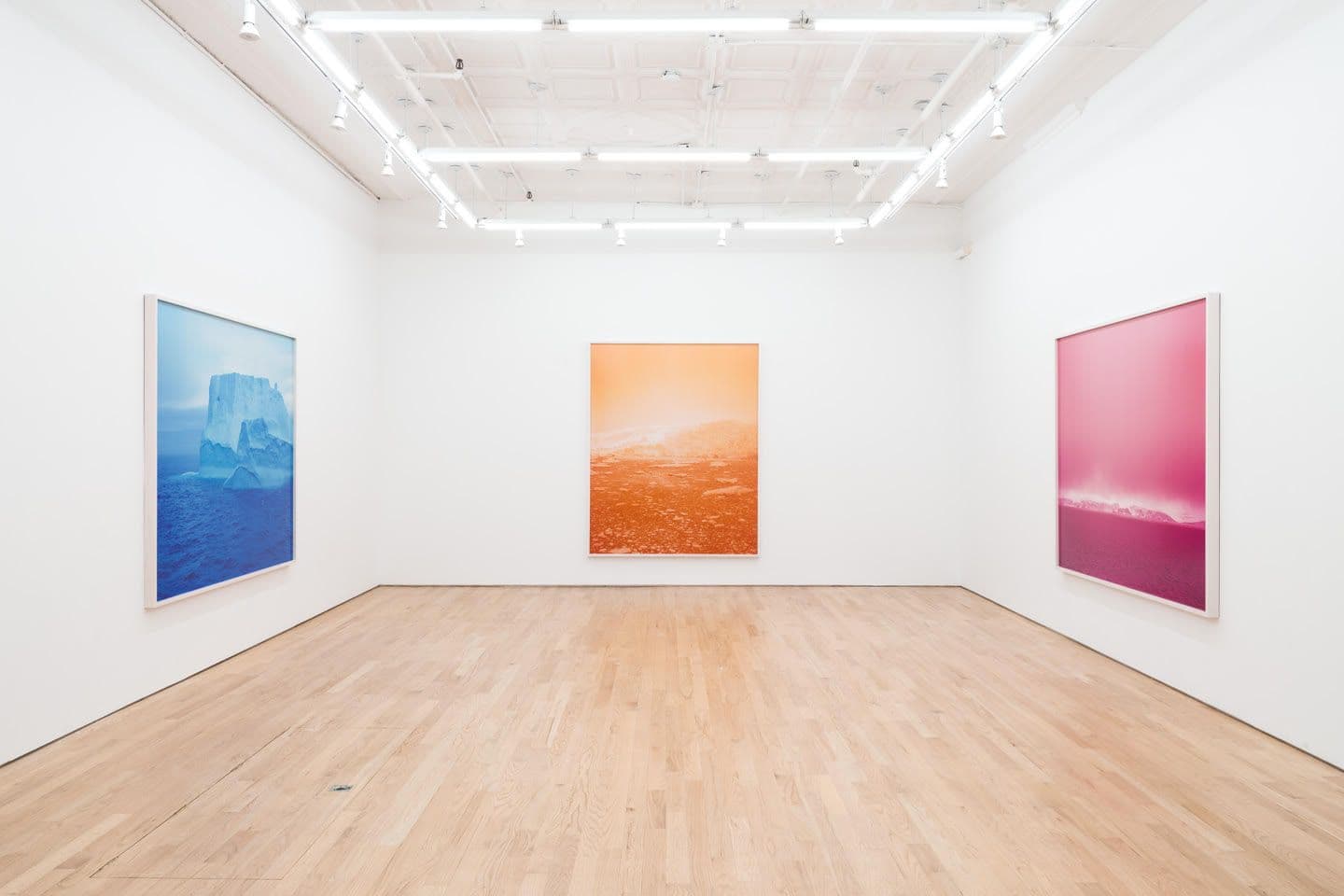 David Benjamin Sherry — Blue Ablation — image 5 of 5